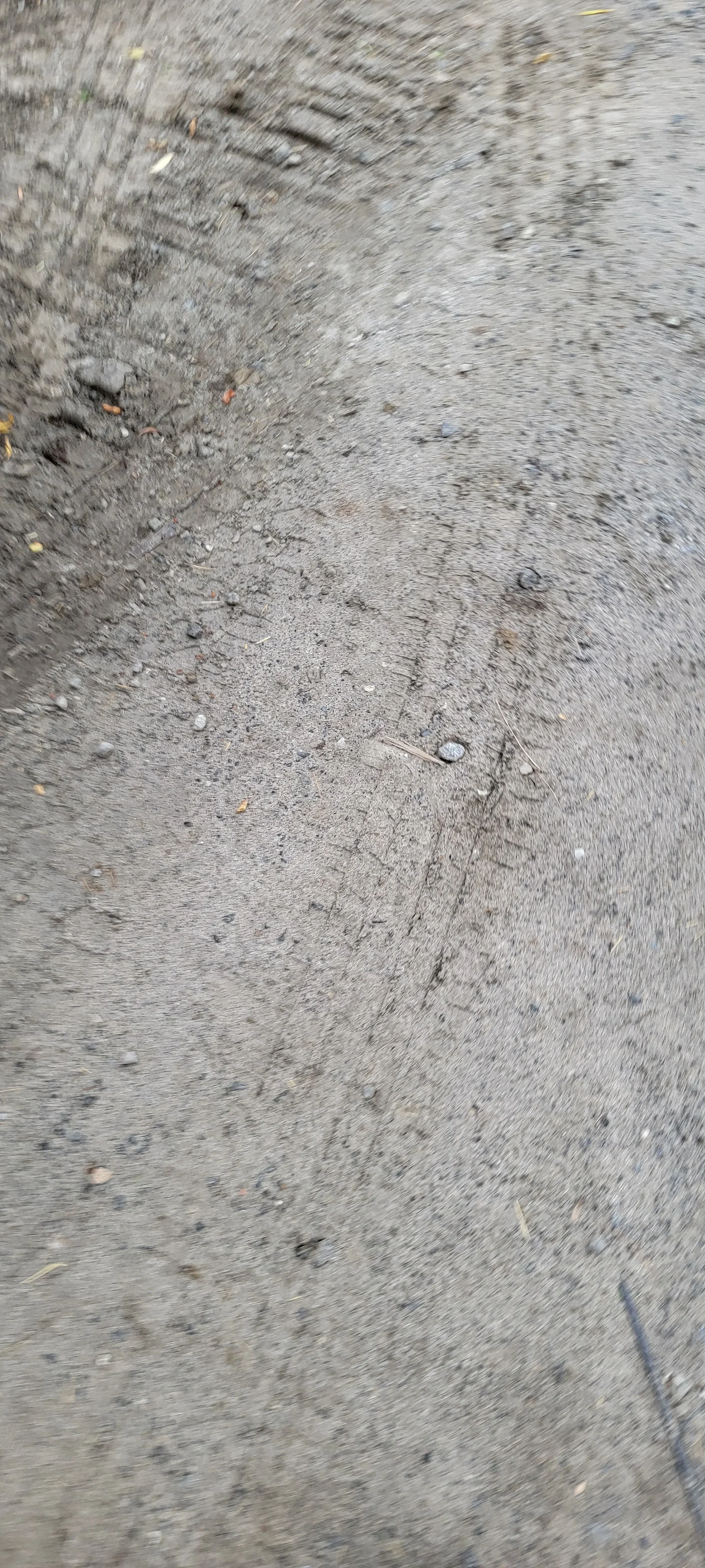 Tire Tracks on Gravel