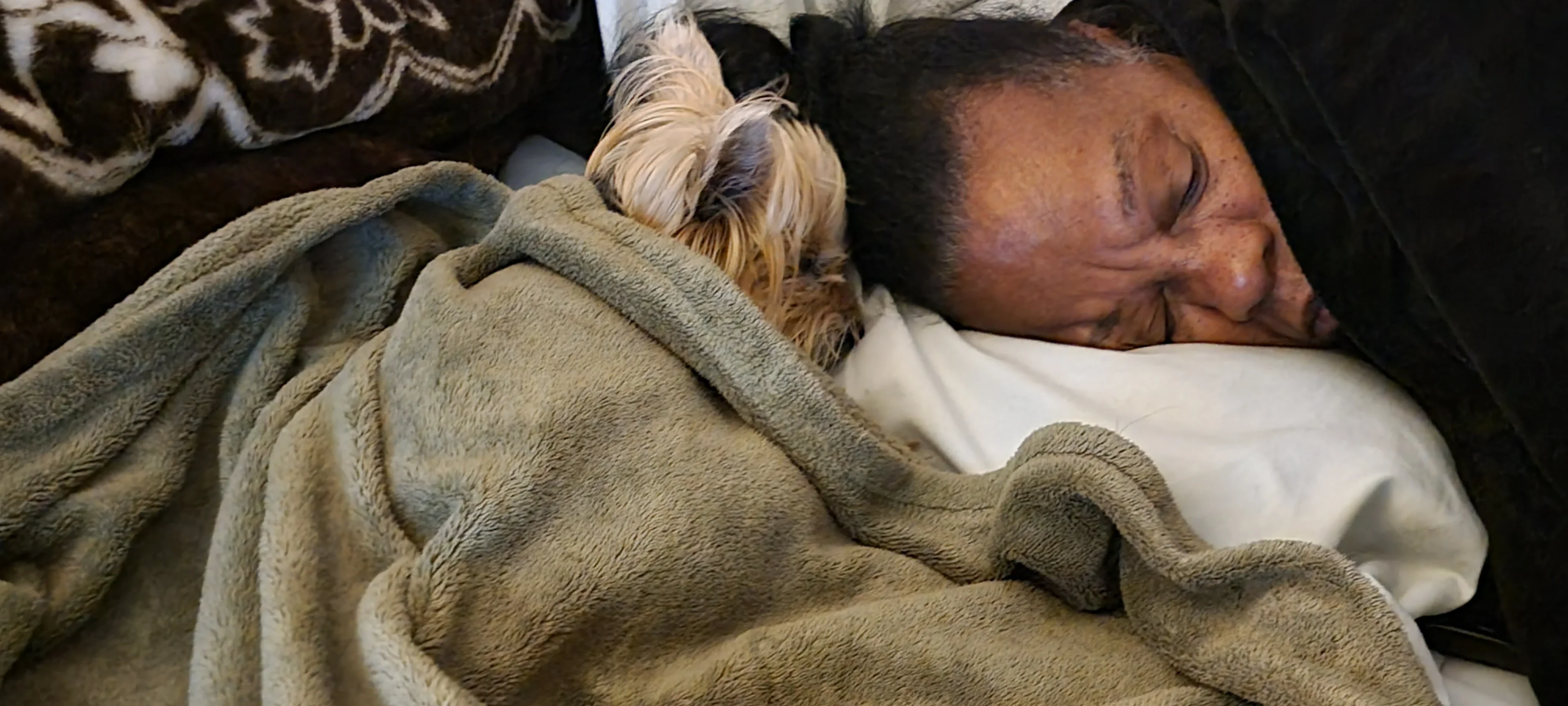 Person and Dog Resting